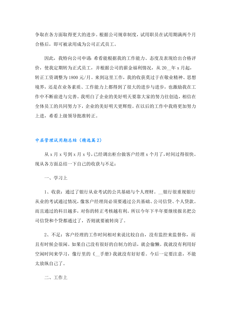 中层管理试用期总结.doc_第2页