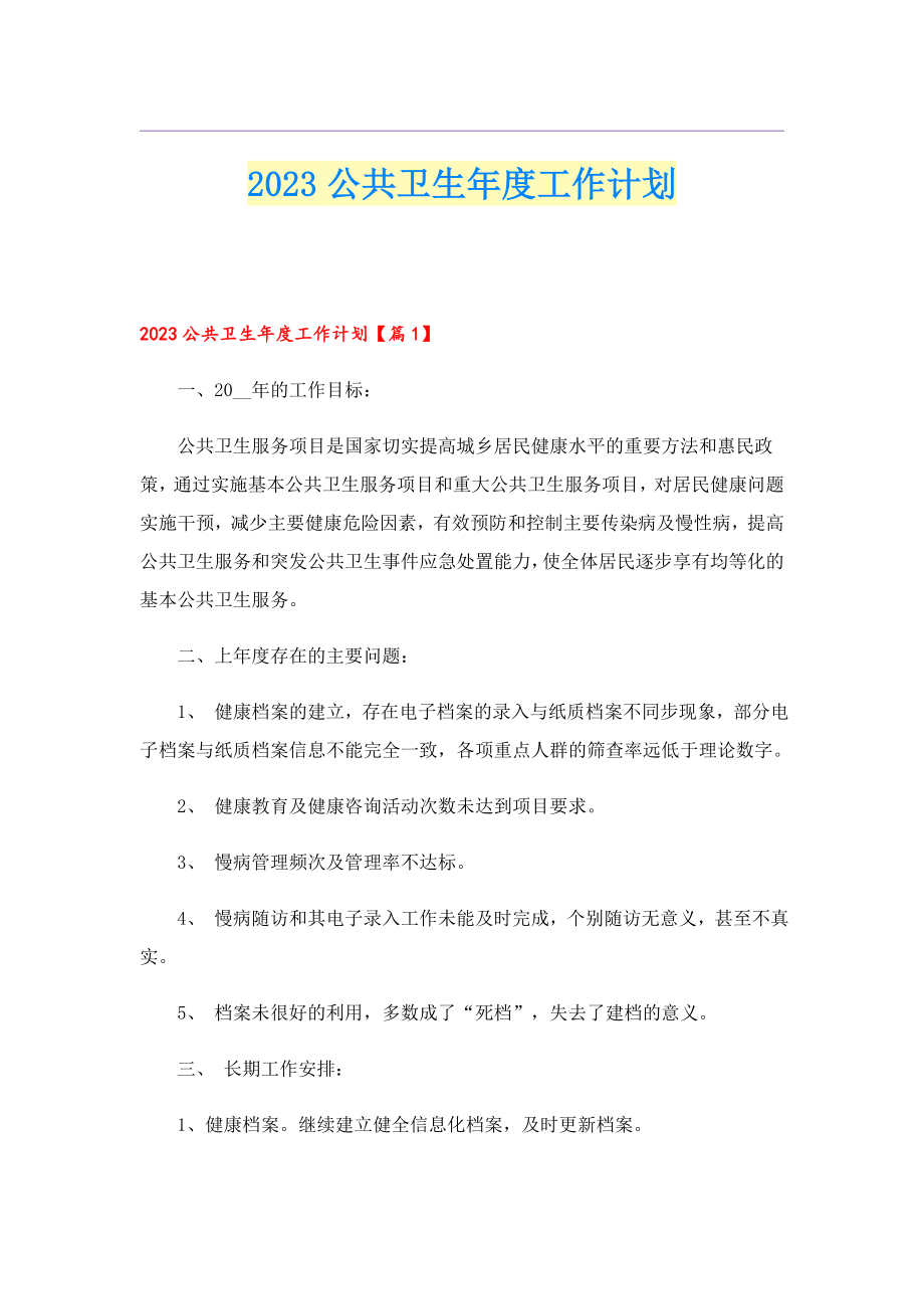 2023公共卫生工作计划.doc_第1页