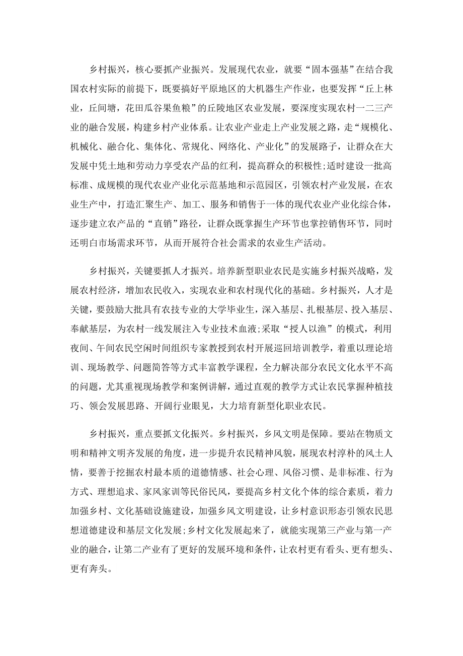 关于乡村振兴的心得感想.doc_第3页