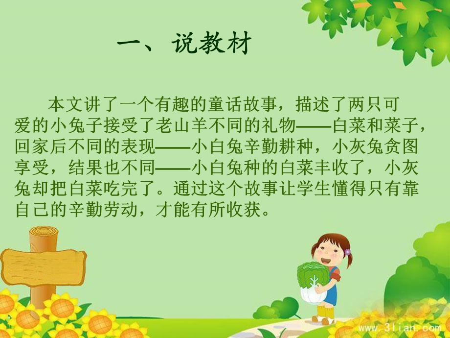 小白兔和小灰兔说课稿.ppt_第3页