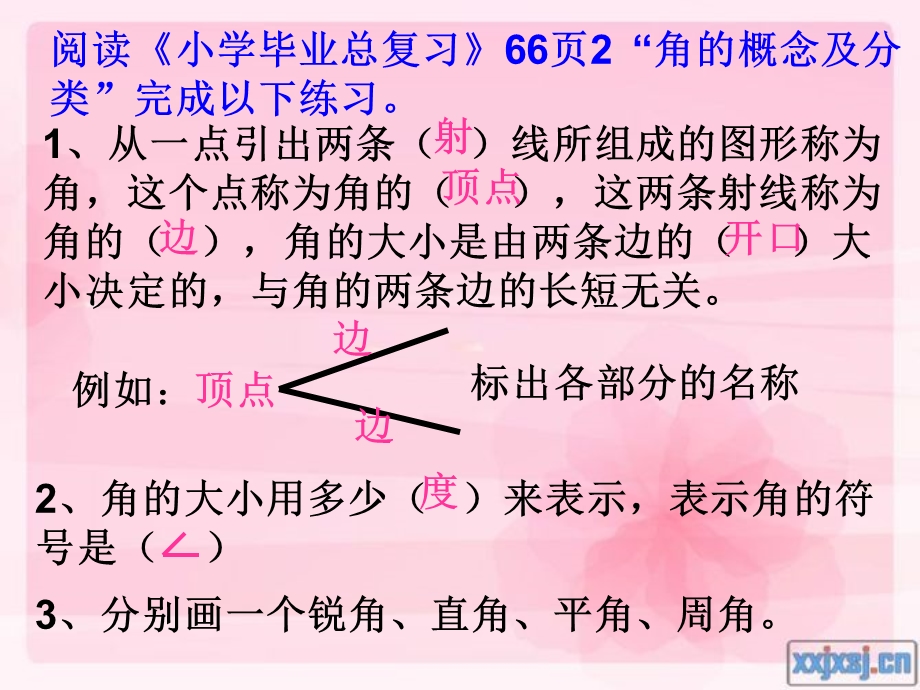 平面图形的认识.ppt_第3页