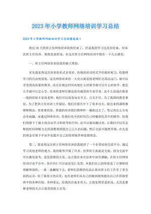 2023小学教师网络培训学习总结.doc