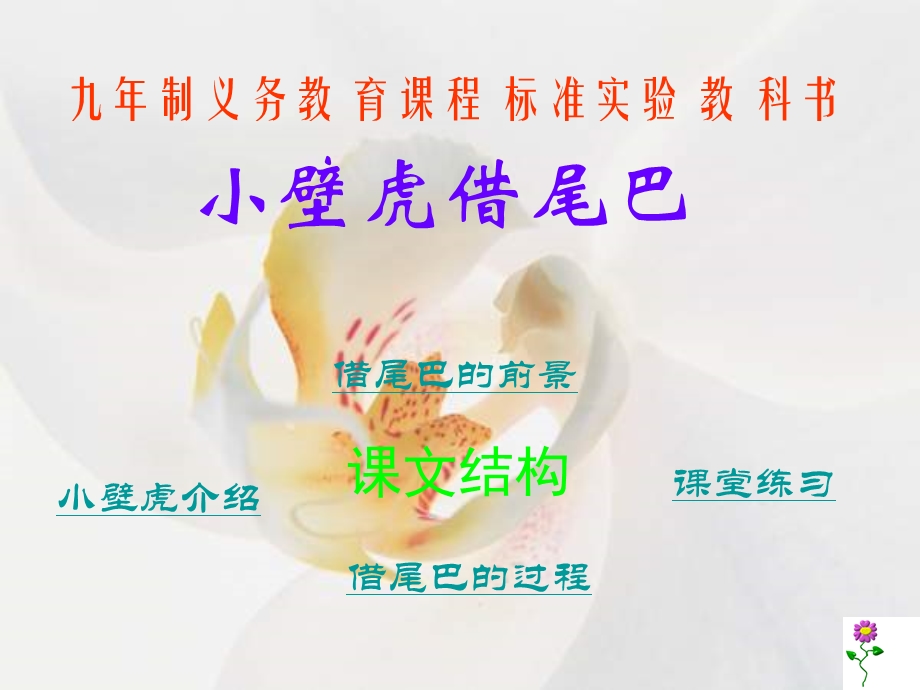 小壁虎借尾巴PPT课件.ppt_第1页