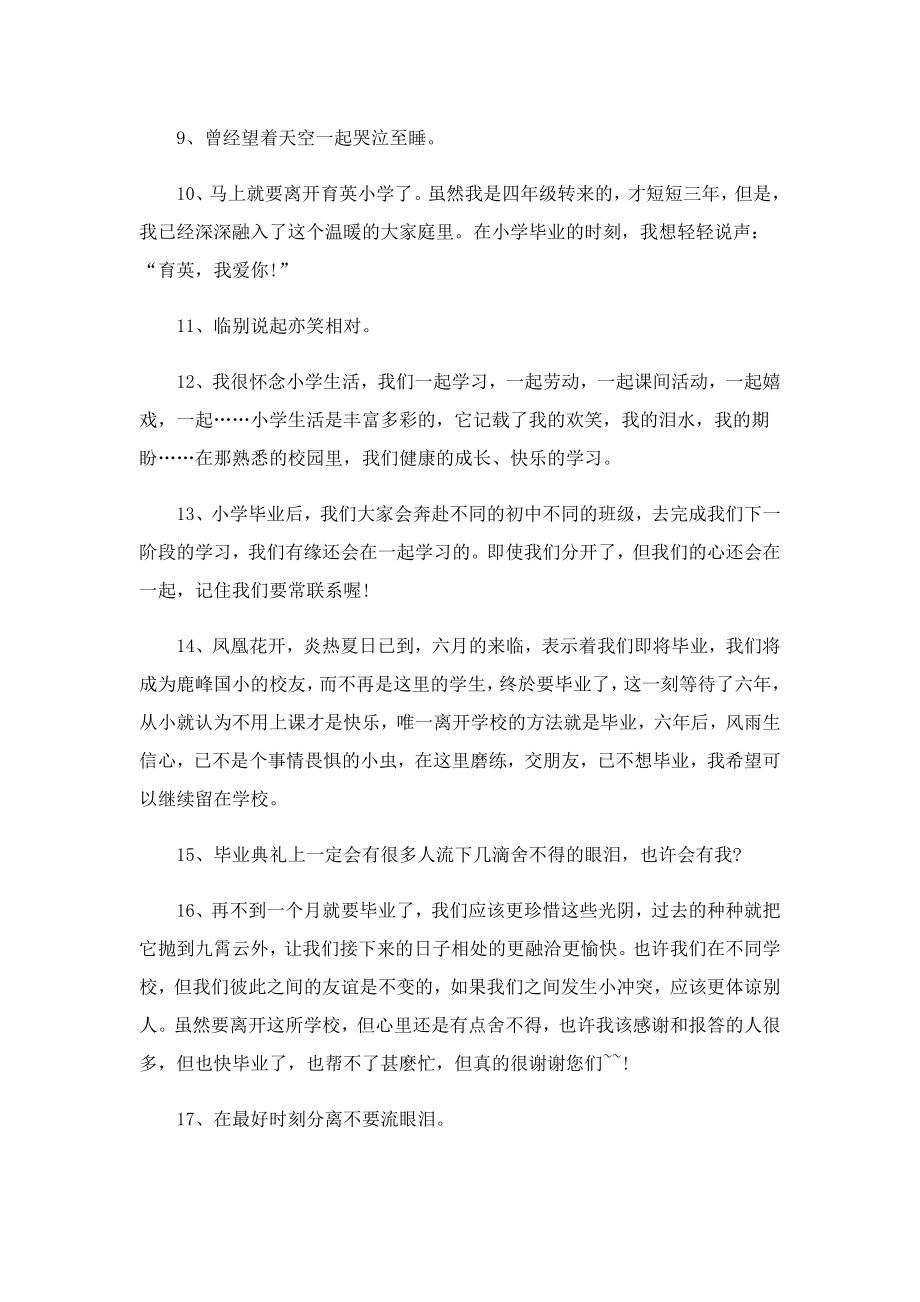 初中毕业感言优美短句.doc_第2页