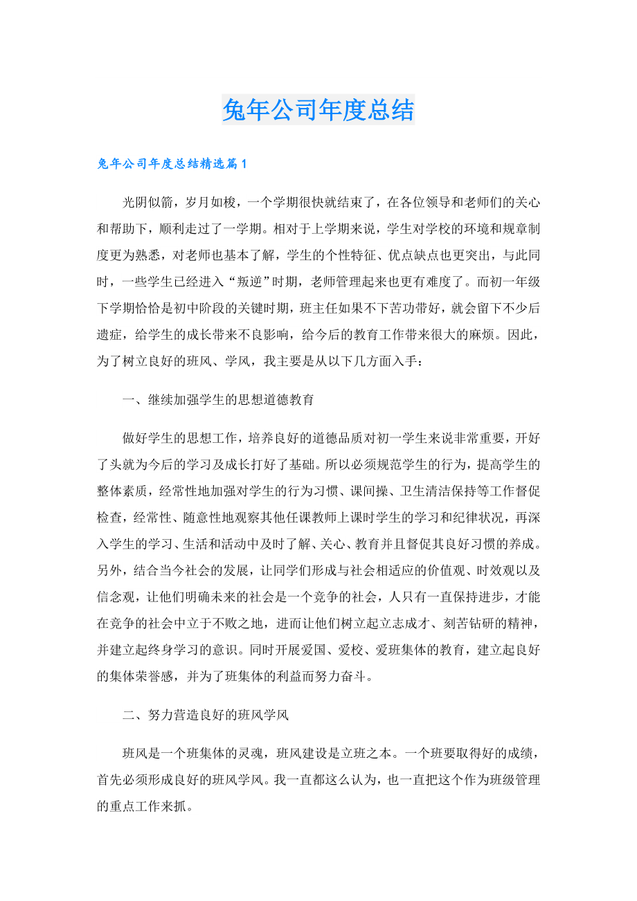 兔公司总结.doc_第1页