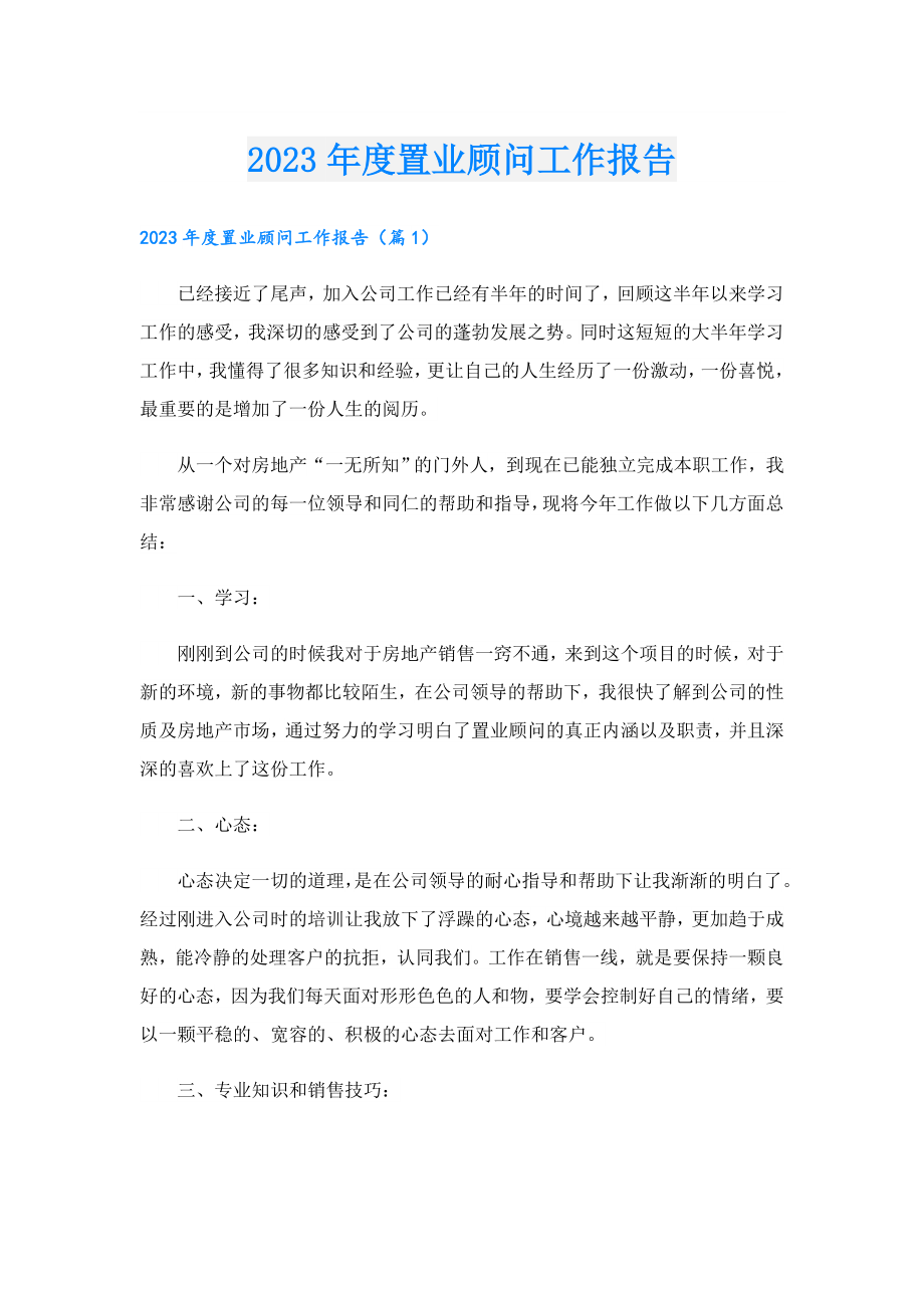 2023置业顾问工作报告.doc_第1页