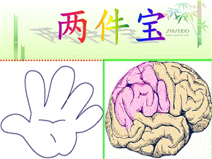 一年级语文上册十三手和脑1两件宝第一课时课件.ppt