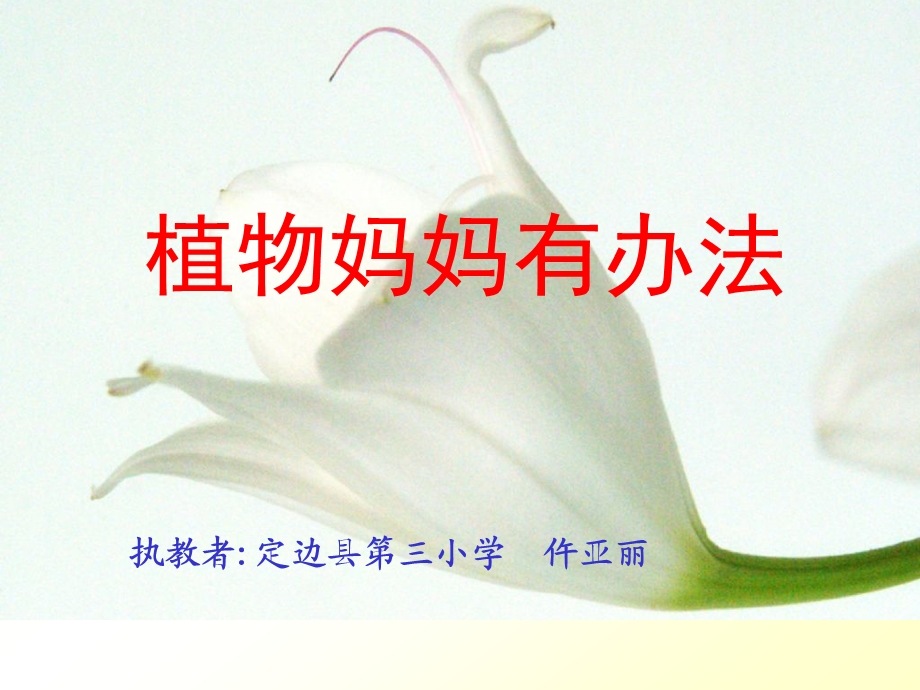 植物妈妈有办法2.ppt_第1页