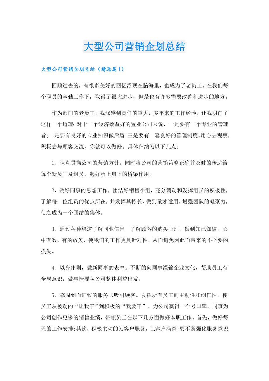 大型公司营销企划总结.doc_第1页