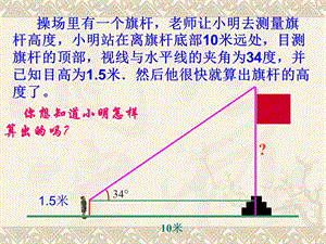 《252锐角三角函数》课件（华东师大版）.ppt