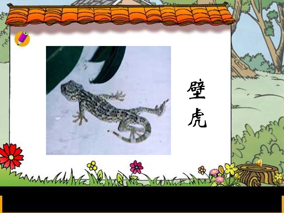 《小壁虎借尾巴》课件（胡丽霞）.ppt_第2页