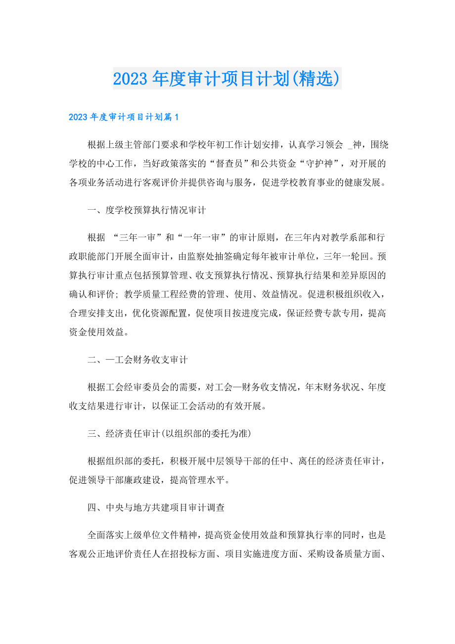 2023审计项目计划(精选).doc_第1页