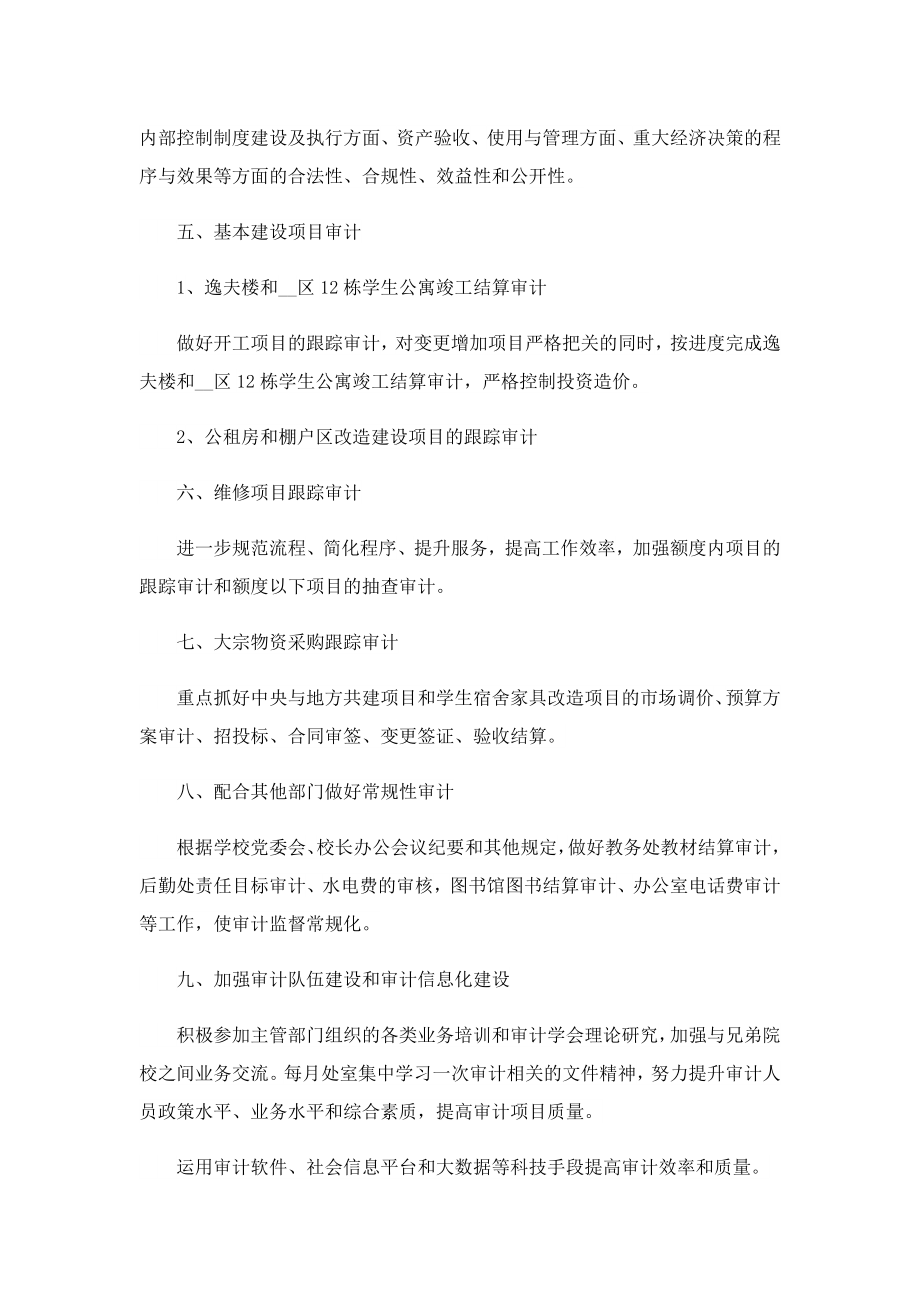 2023审计项目计划(精选).doc_第2页