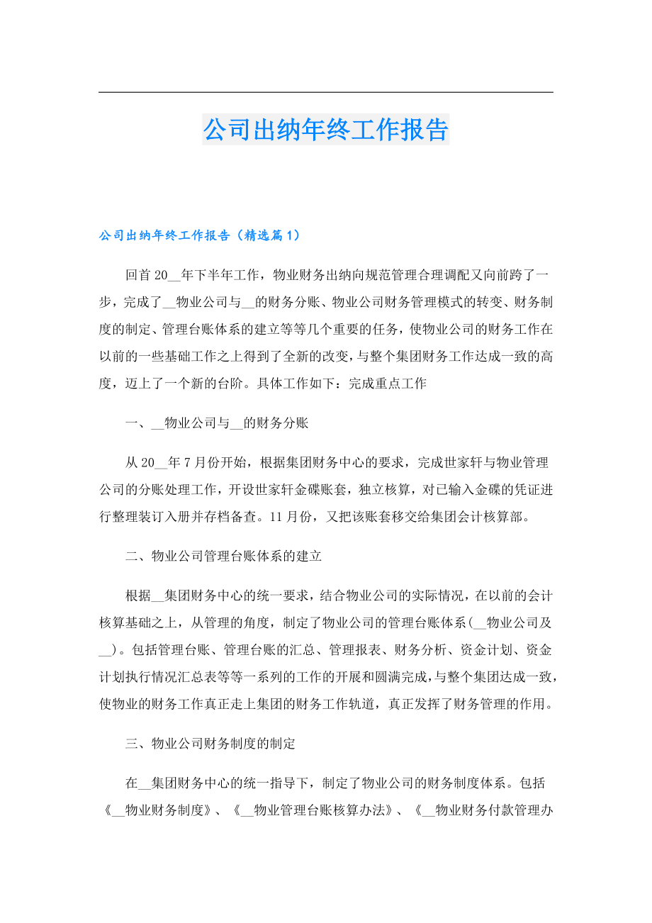 公司出纳终工作报告.doc_第1页