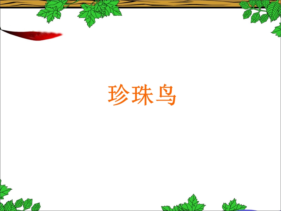 《珍珠鸟》教学设计1.ppt_第1页