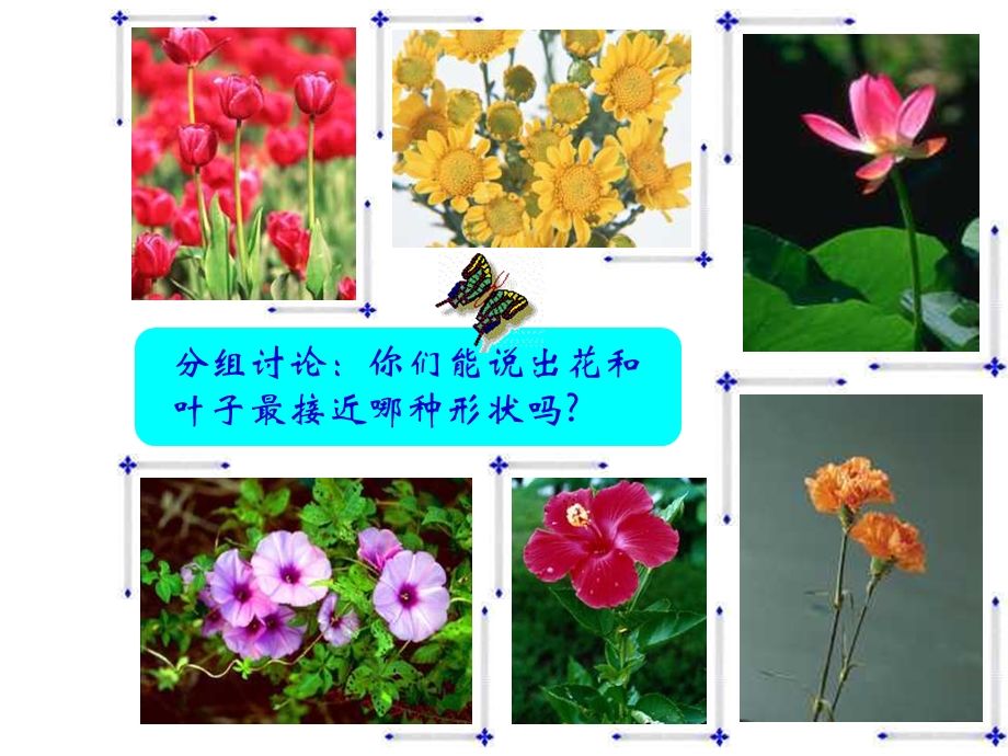 《茂密的花》课件人美版二年级PPT课件.ppt_第3页