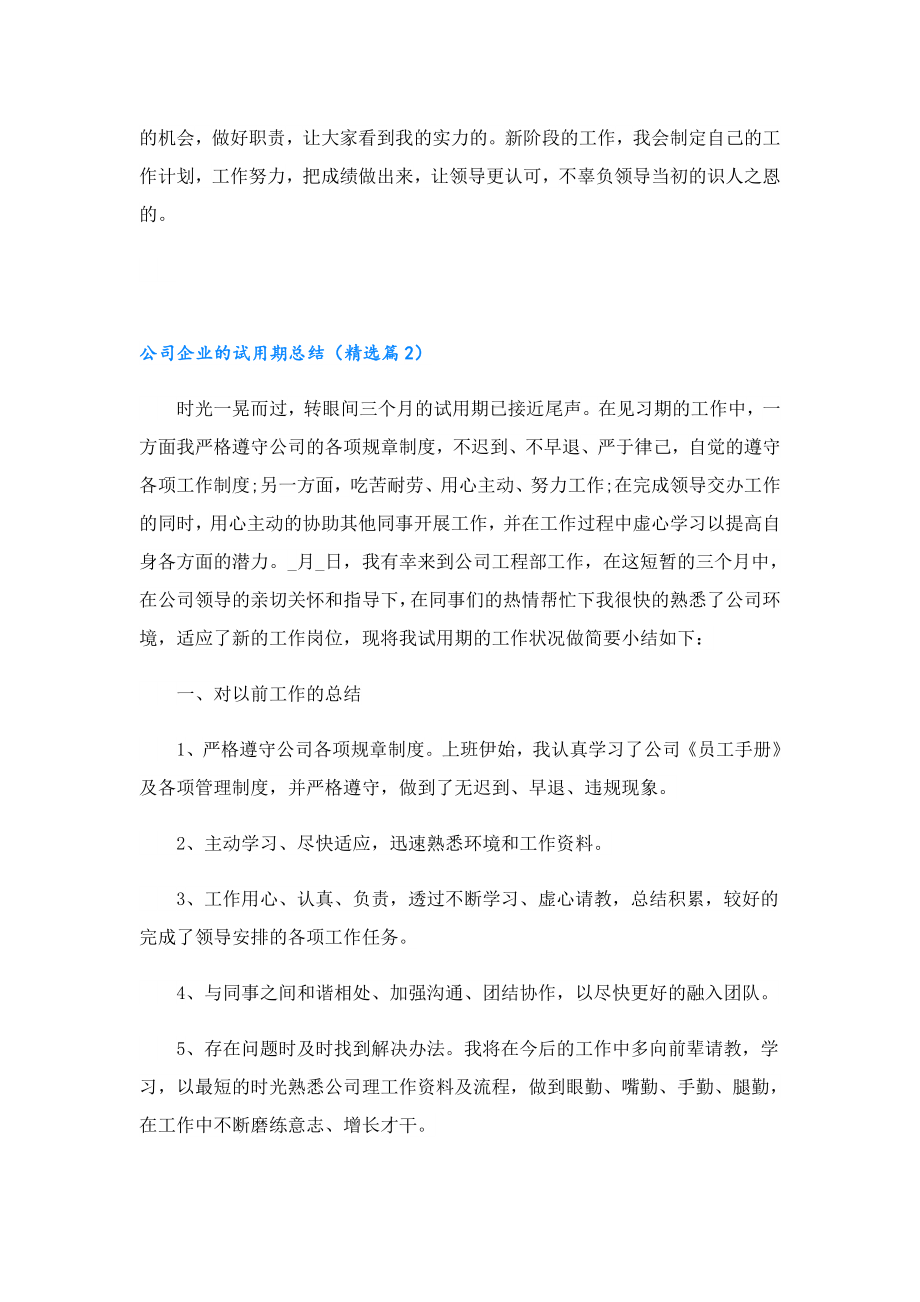 公司企业的试用期总结.doc_第2页