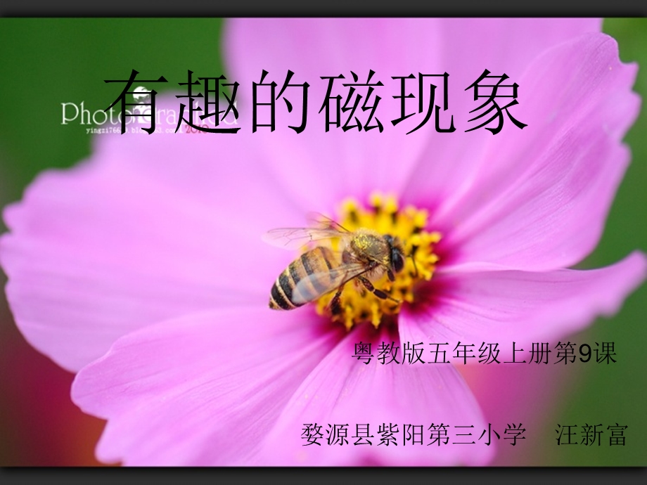 有趣的磁现象课件.ppt_第2页