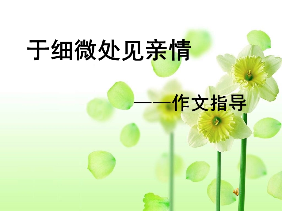 在细节中感悟亲情(作文教学课件).ppt_第1页