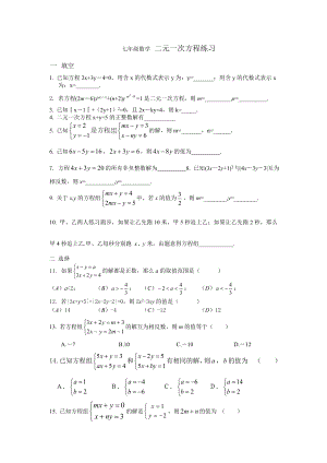 七年级数学二元一次方程.doc