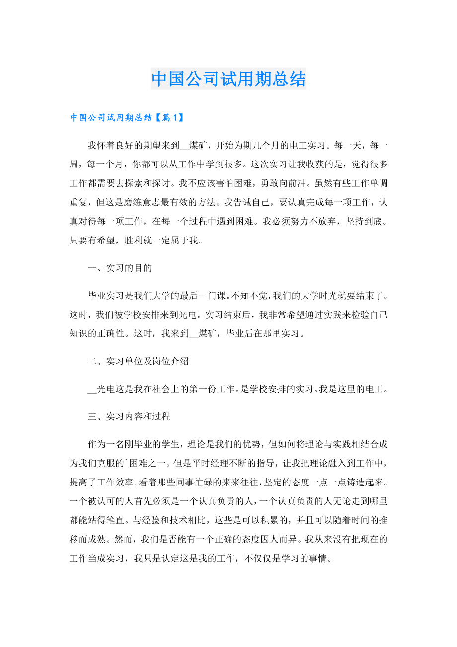 中国公司试用期总结.doc_第1页