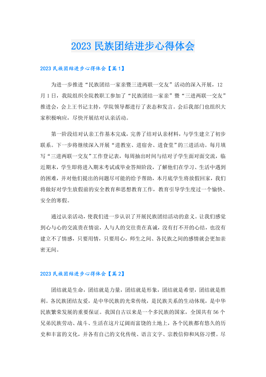 2023民族团结进步心得体会.doc_第1页