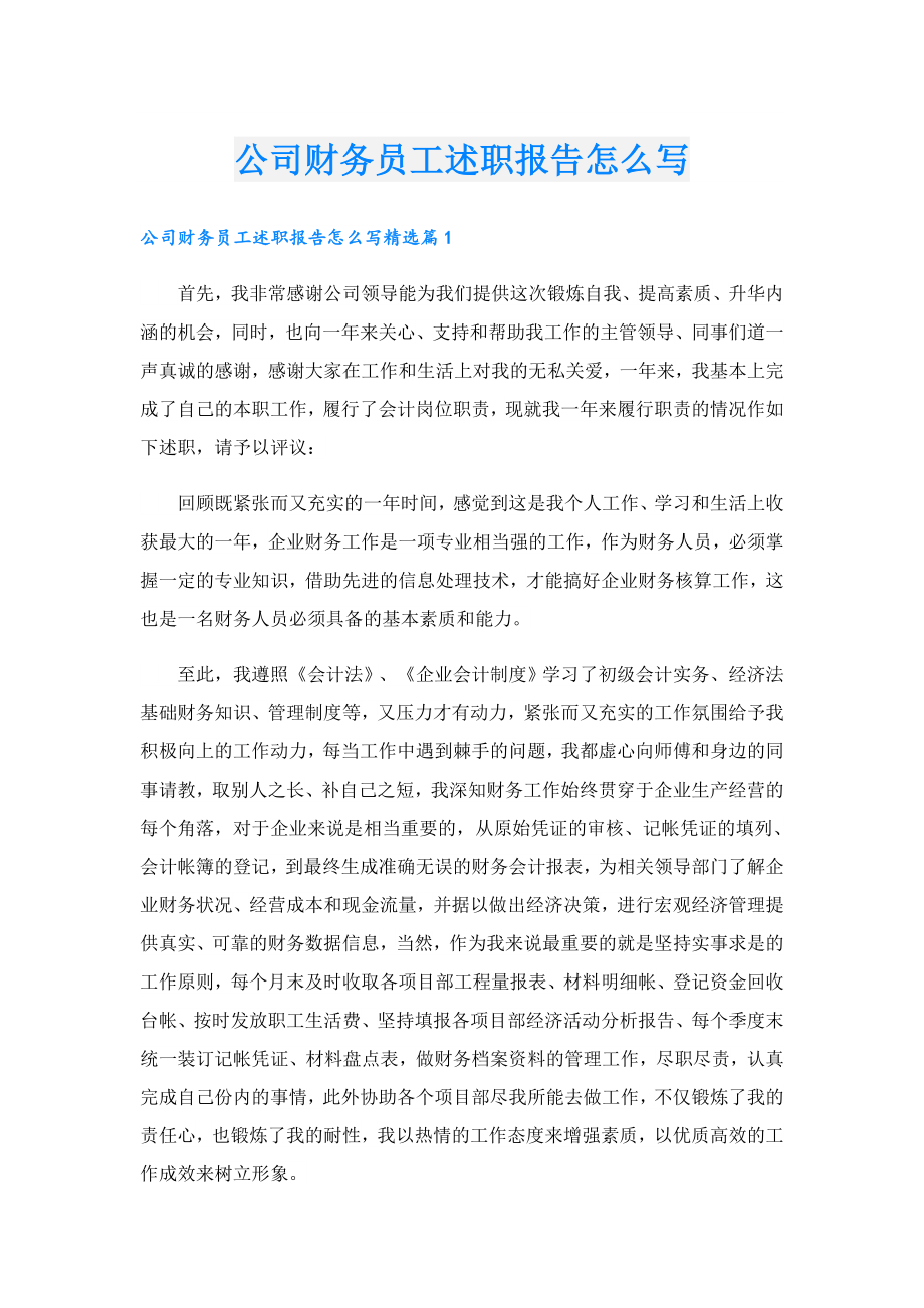 公司财务员工述职报告怎么写.doc_第1页