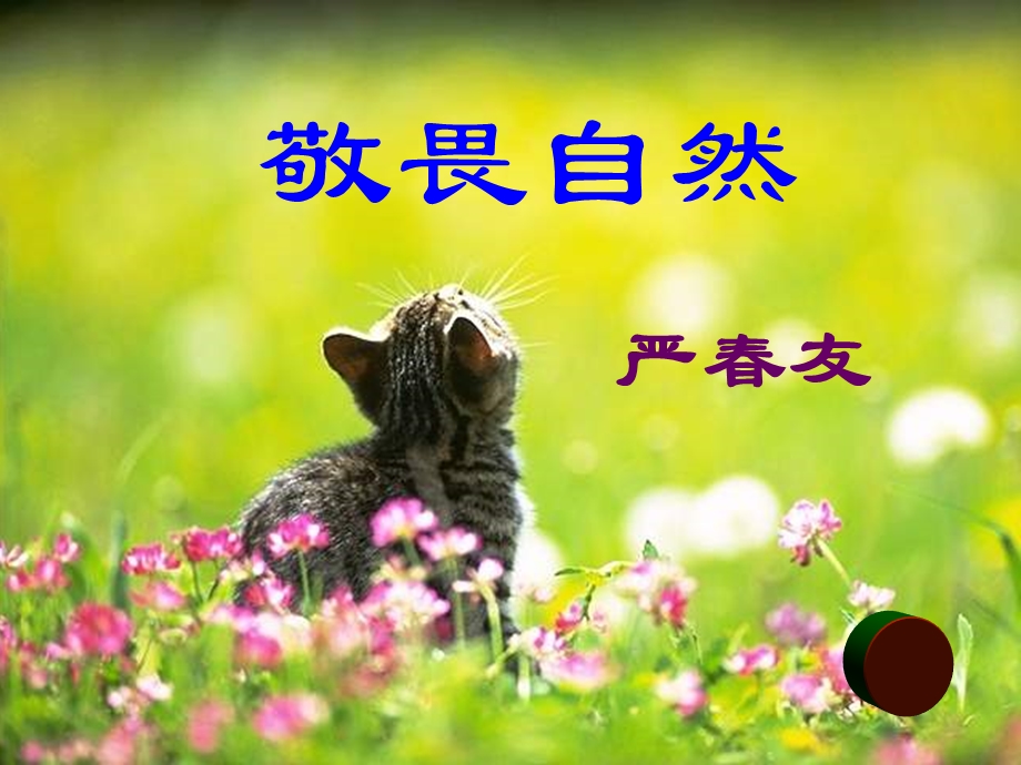 严春友：敬畏自然.ppt_第1页