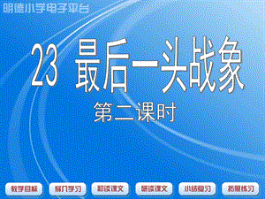 最后一头战象1 (2).ppt