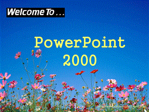 powerpoint演示文稿.ppt