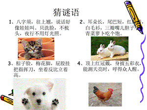 单元四作文——我喜欢的小动物 (2).ppt