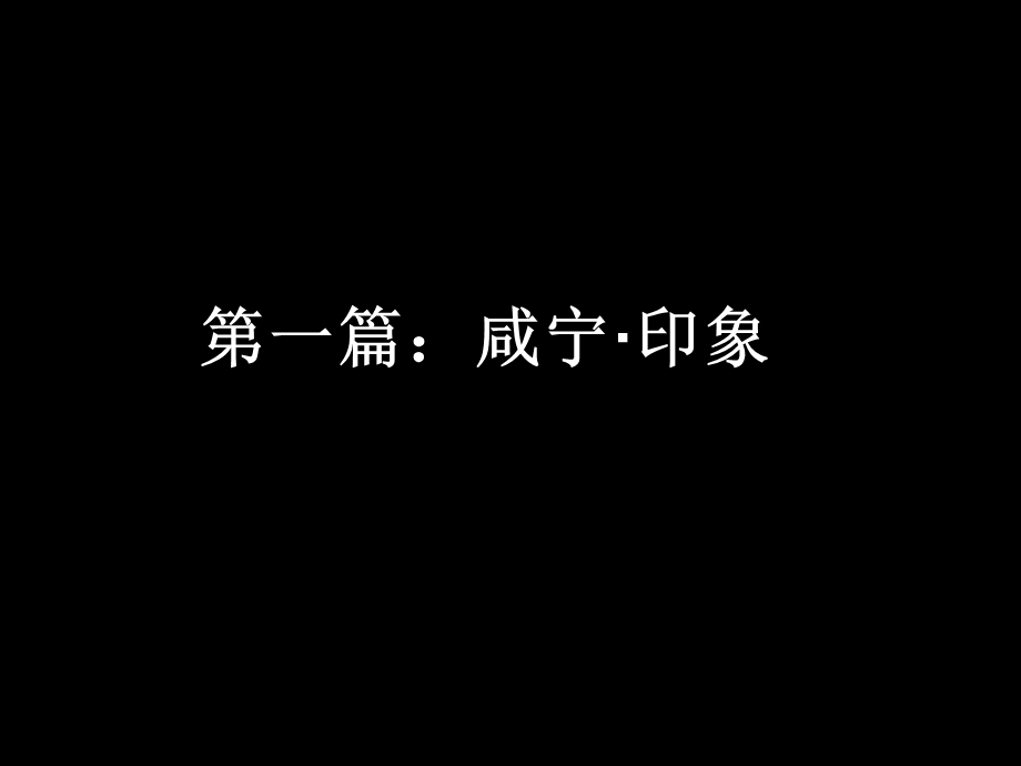 政府的威信(王青).ppt_第3页