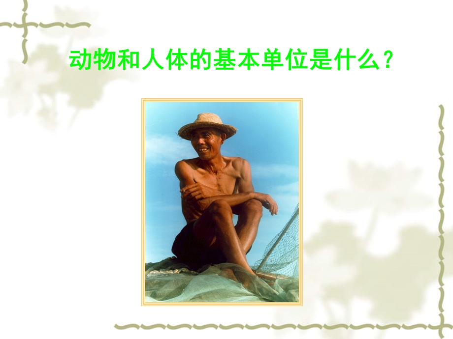 动物体的结构层次 (2).ppt_第1页