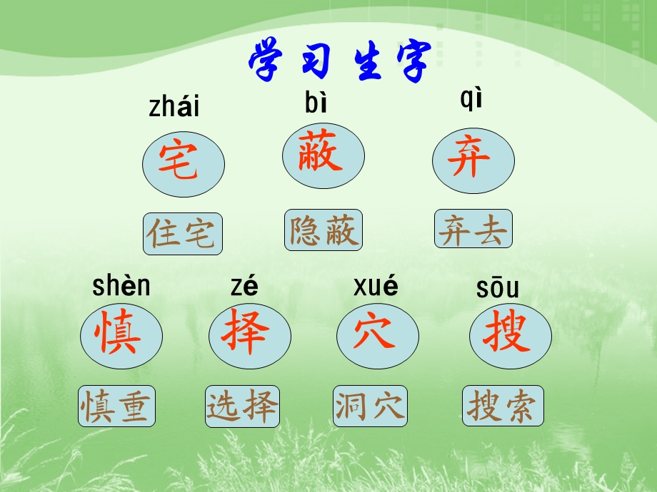 《蟋蟀的住宅》教学课件1.ppt_第3页