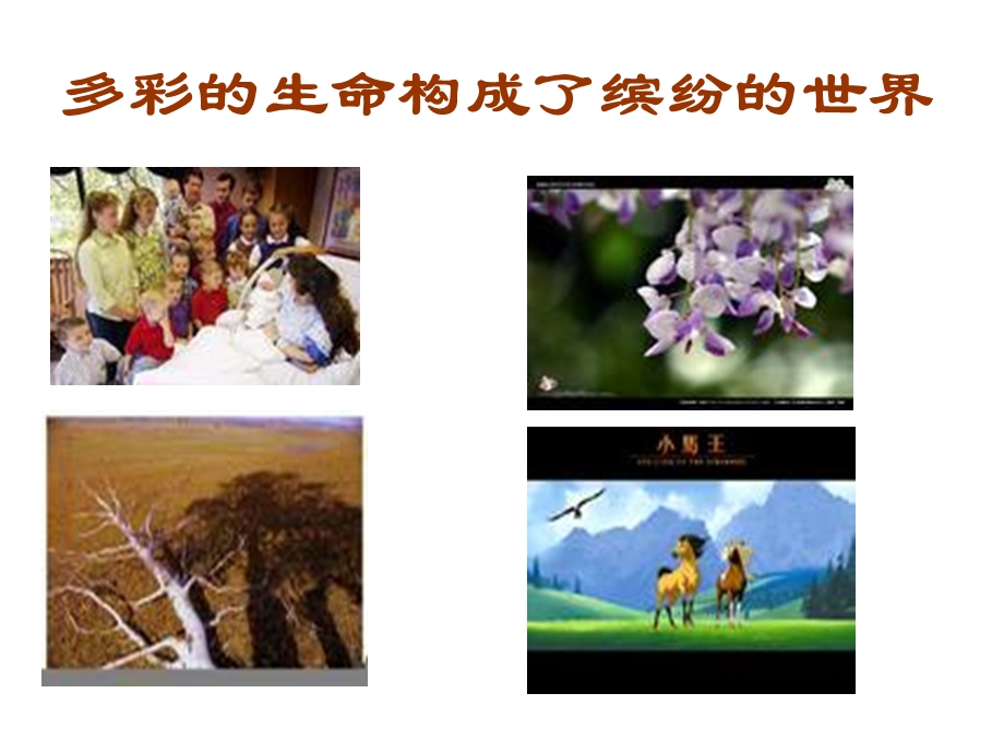 珍惜生命健康成长.ppt_第2页