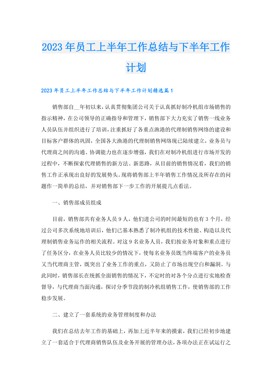 2023员工上半工作总结与下半工作计划.doc_第1页