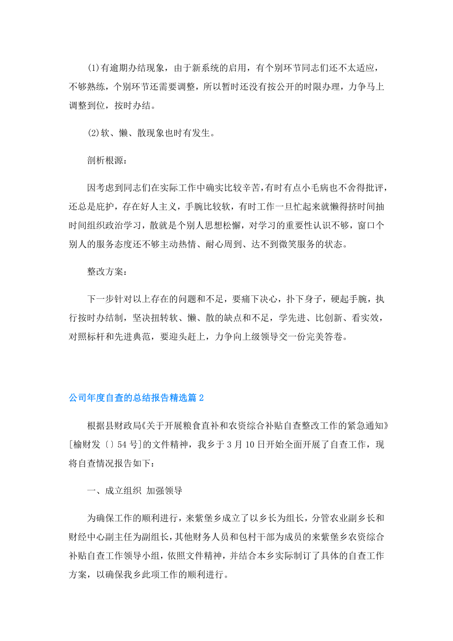 公司自查的总结报告.doc_第2页