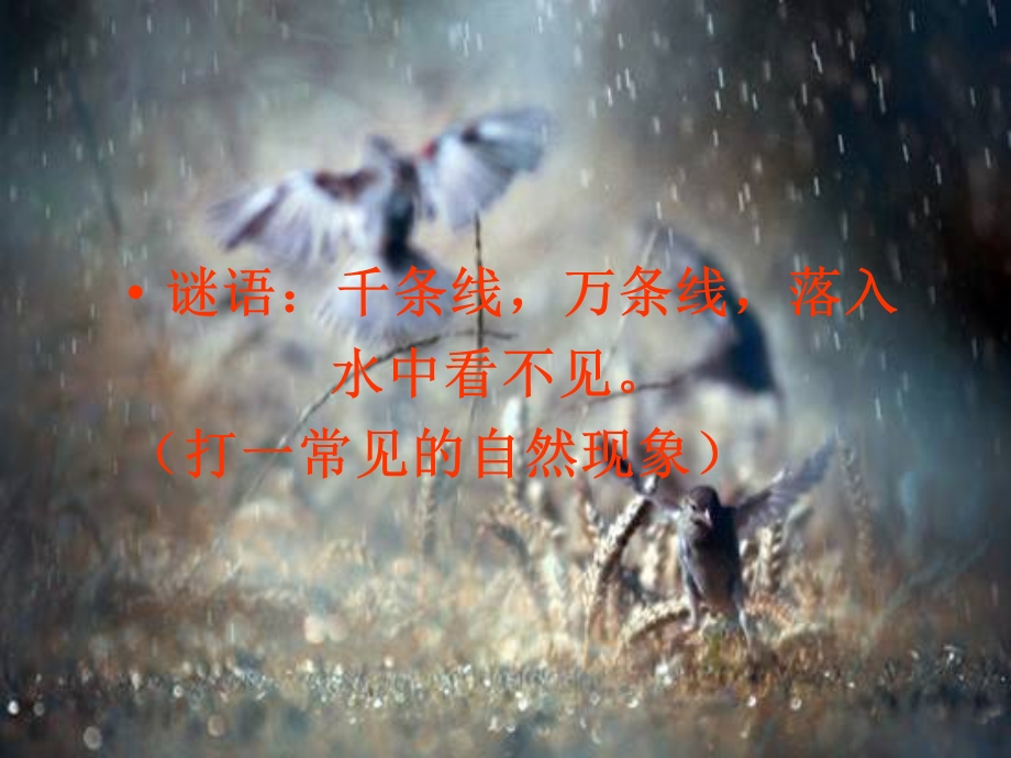 降水的变化及分布.ppt_第2页