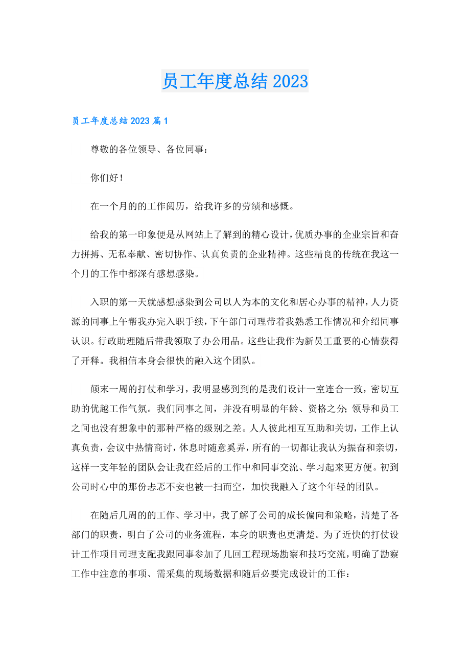 员工总结2023.doc_第1页