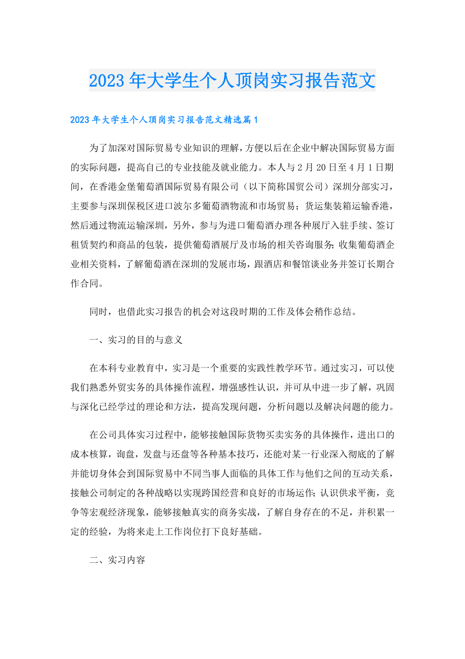 2023大学生个人顶岗实习报告范文.doc_第1页