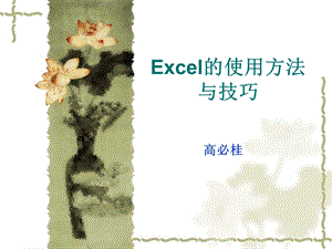 Excel的使用方法与技巧 (2).ppt