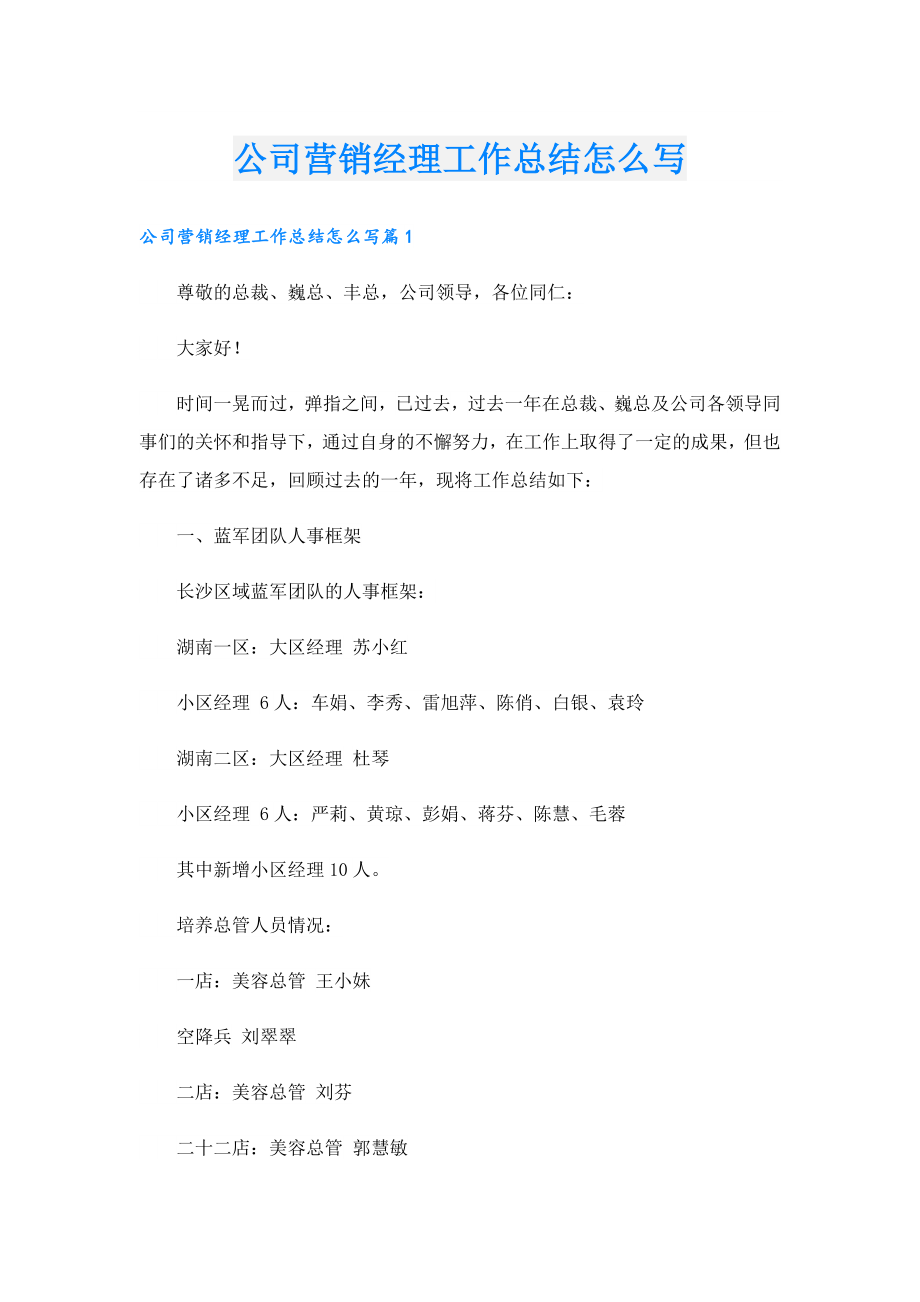 公司营销经理工作总结怎么写.doc_第1页