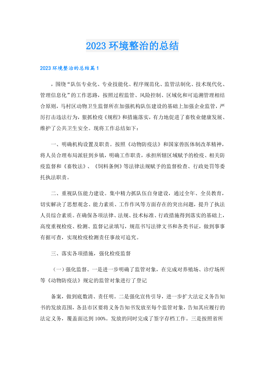 2023环境整治的总结.doc_第1页