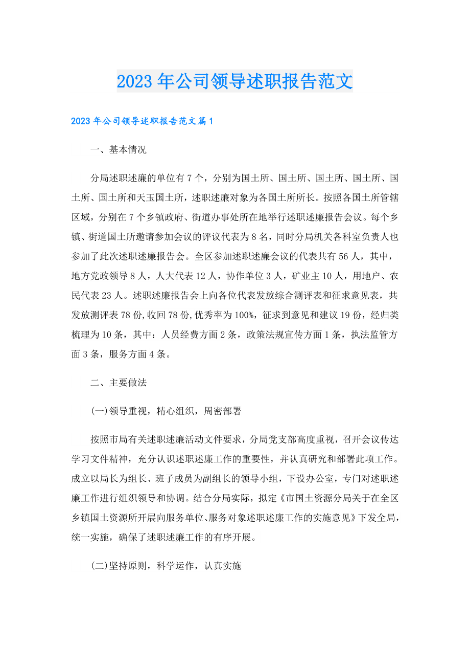 2023公司领导述职报告范文.doc_第1页