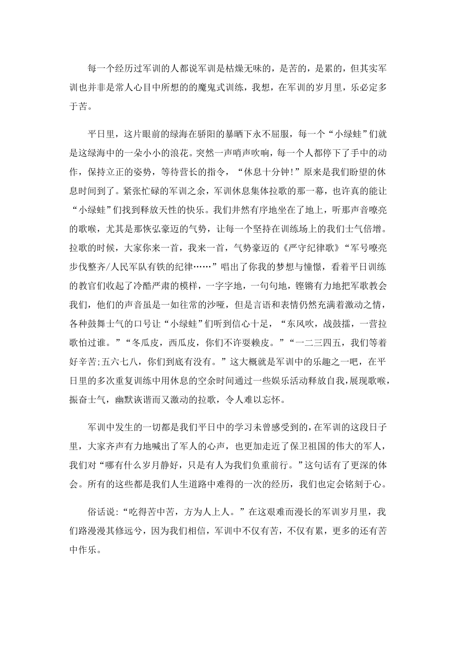 军训总结心得感受示例.doc_第2页