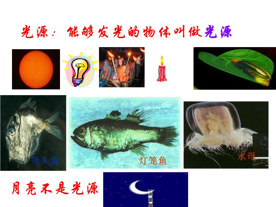 光的直线传播 (5).ppt_第3页