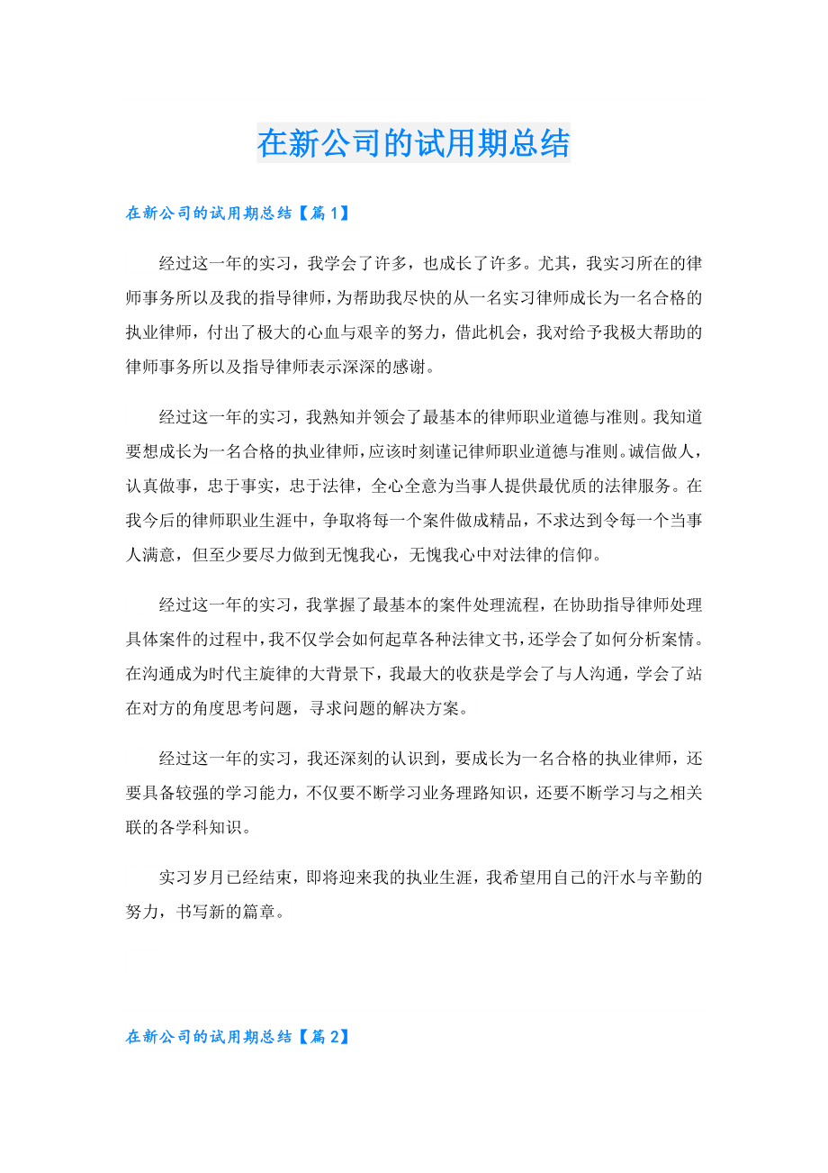 在新公司的试用期总结.doc_第1页