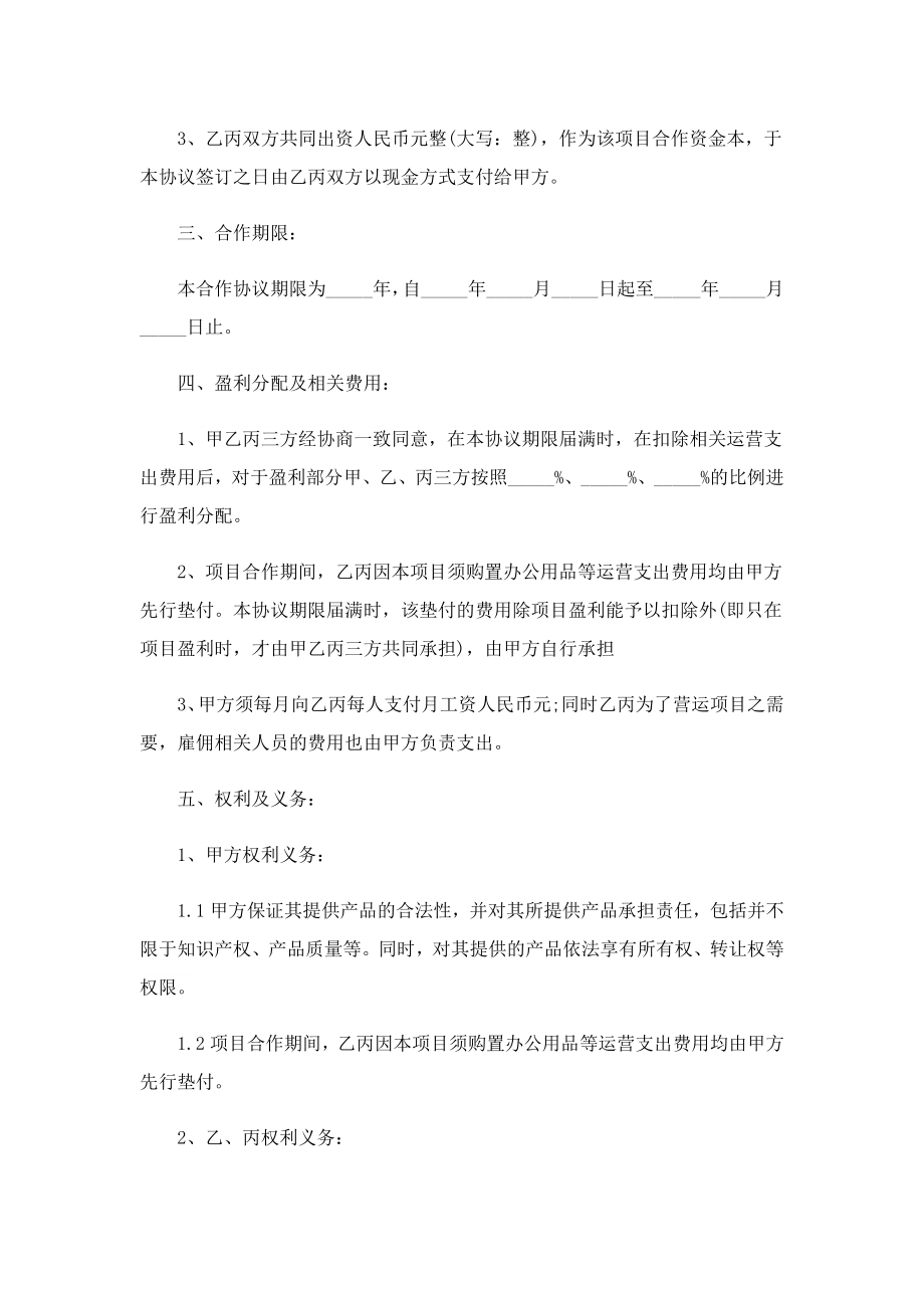 两方项目合作的协议书标准版.doc_第2页