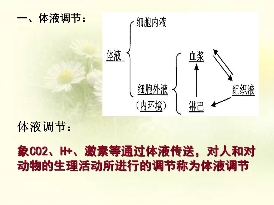 体液调节一轮复习.ppt_第2页