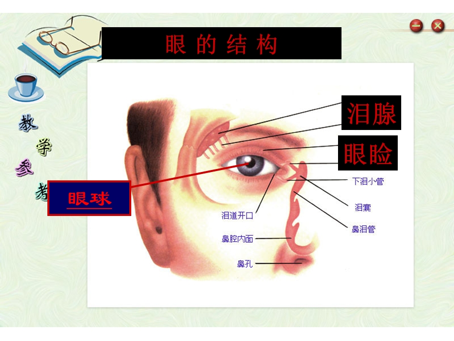 人体对外界环境的感知---眼睛.ppt_第3页